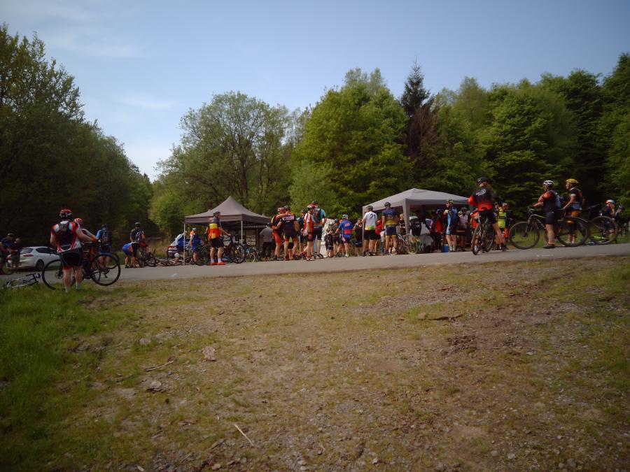 Rassemblement de cyclistes en clairière