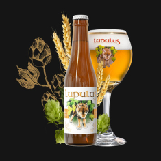 Bouteille de Lupulus originale