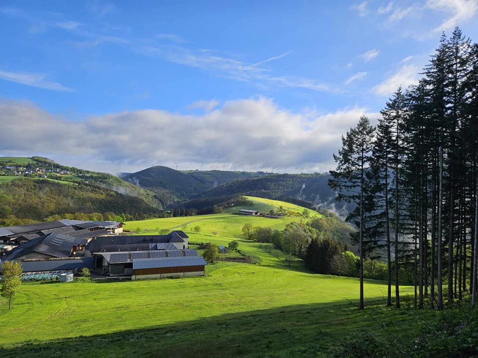 Prairies et forêts autour de Bourscheid