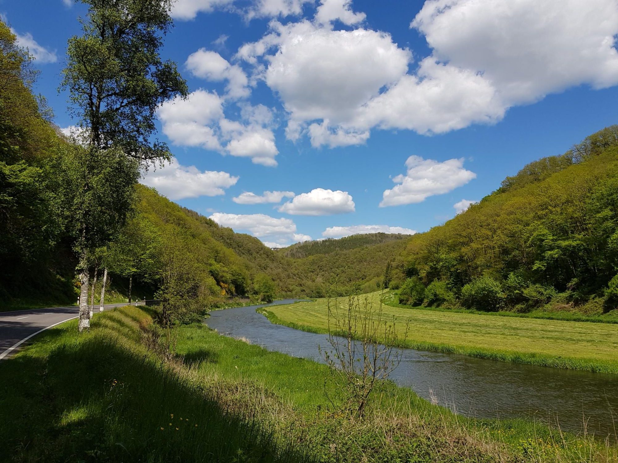 La vallée encaissée de la Sûre au Luxembourg