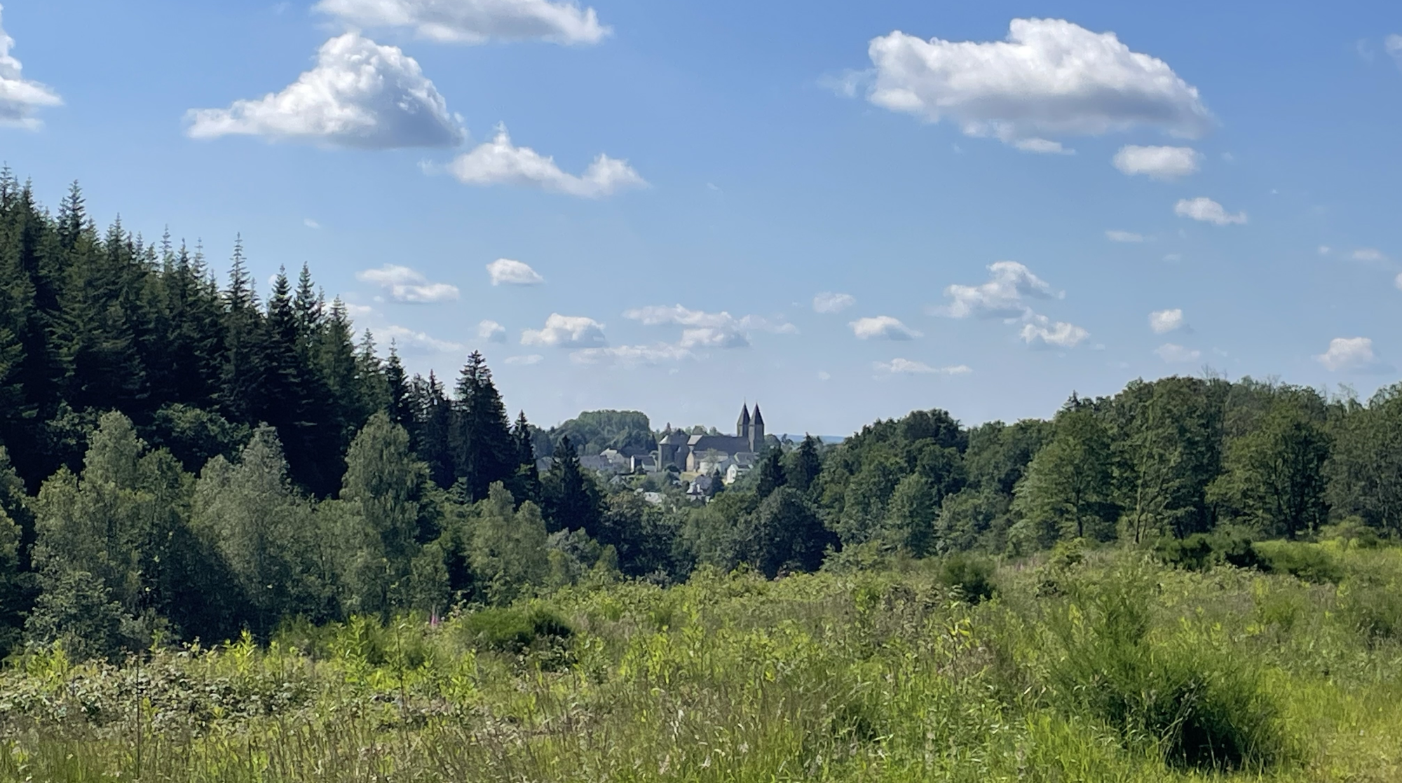 Panorama sur un village niché dans la verdure