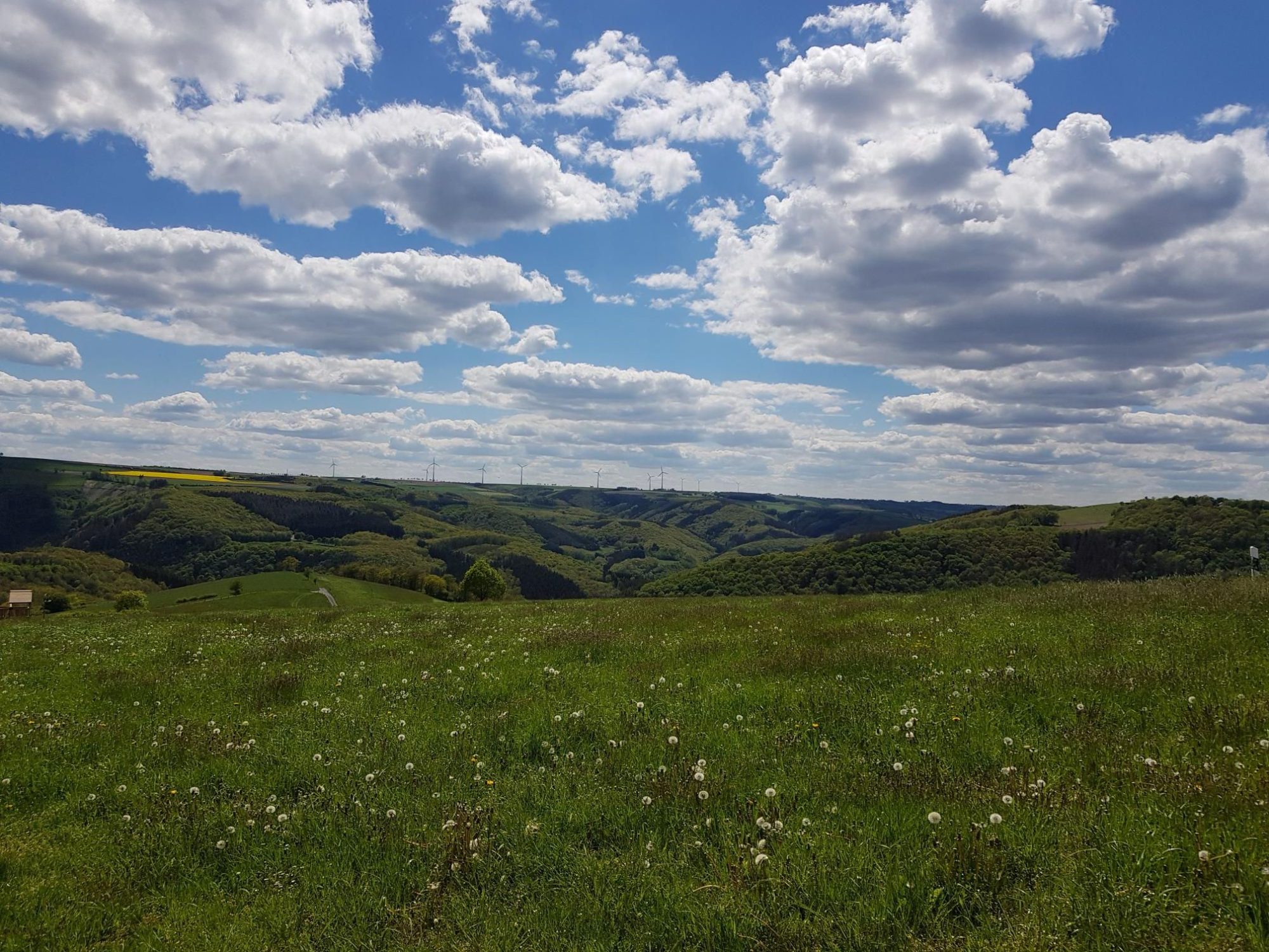 Plateau de la Haute-Sûre sous les nuages