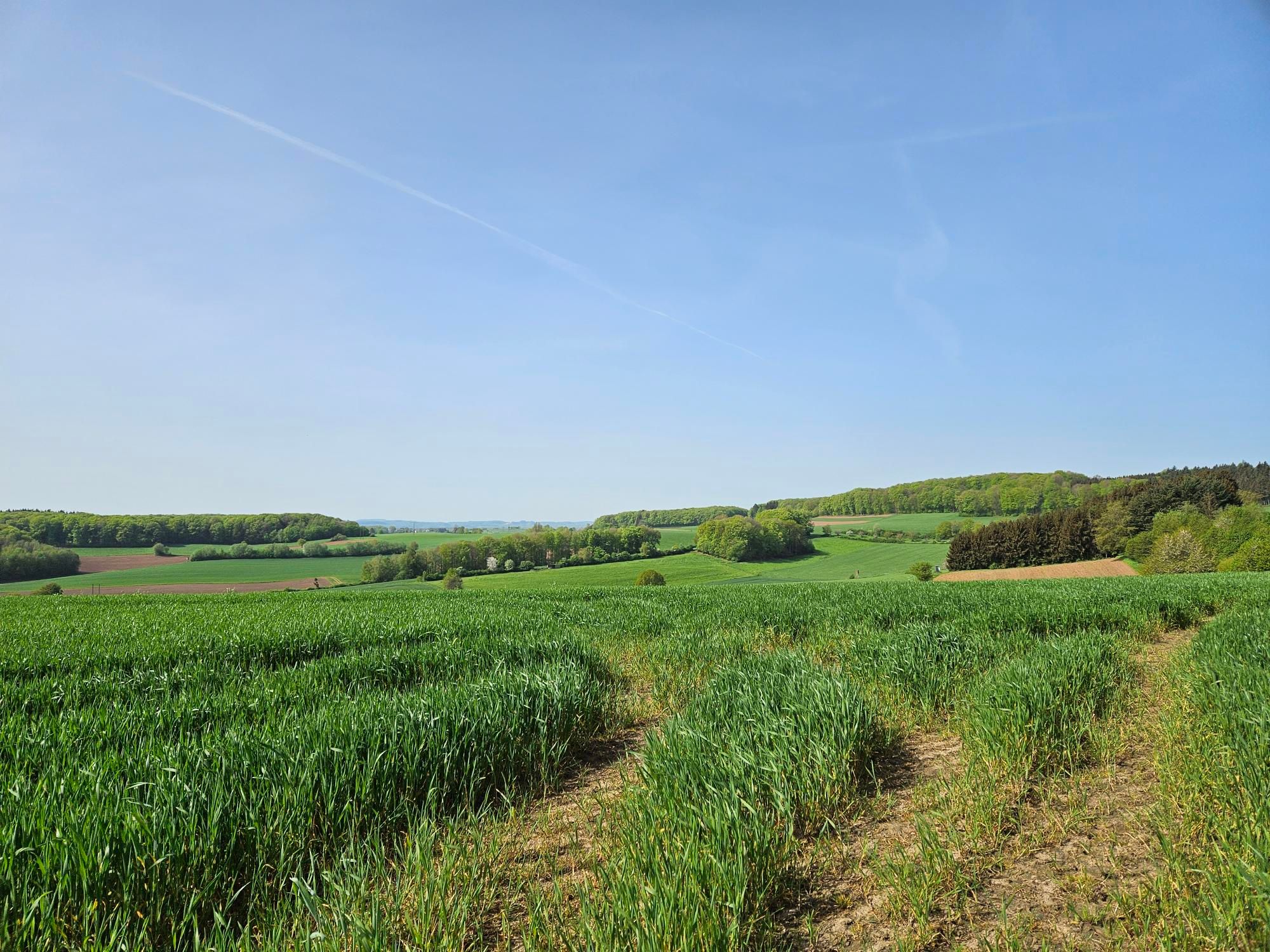 Champs et haies dans la vallée de l'Attert
